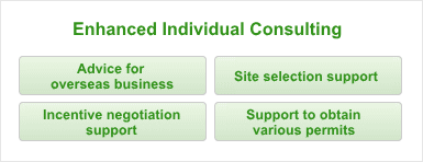Enhanced Individual Consulting
